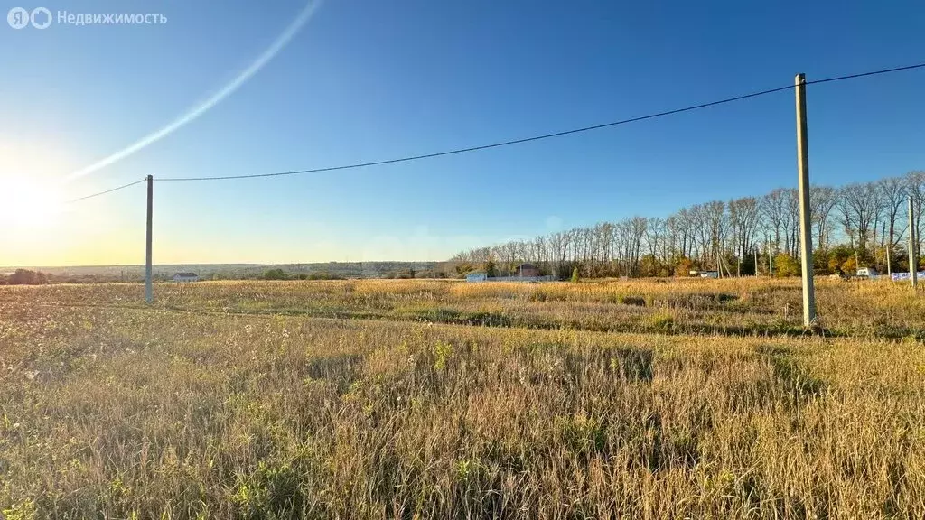 Участок в Республика Мордовия, городской округ Саранск, посёлок ... - Фото 1