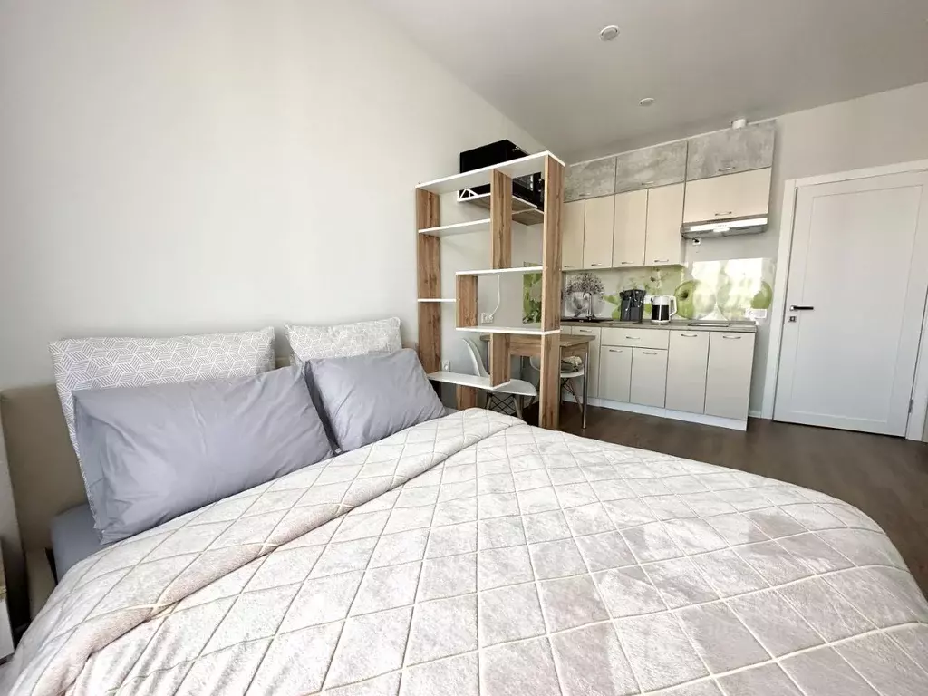 Студия Краснодарский край, Сочи Курортный просп., 55 (30.0 м) - Фото 1