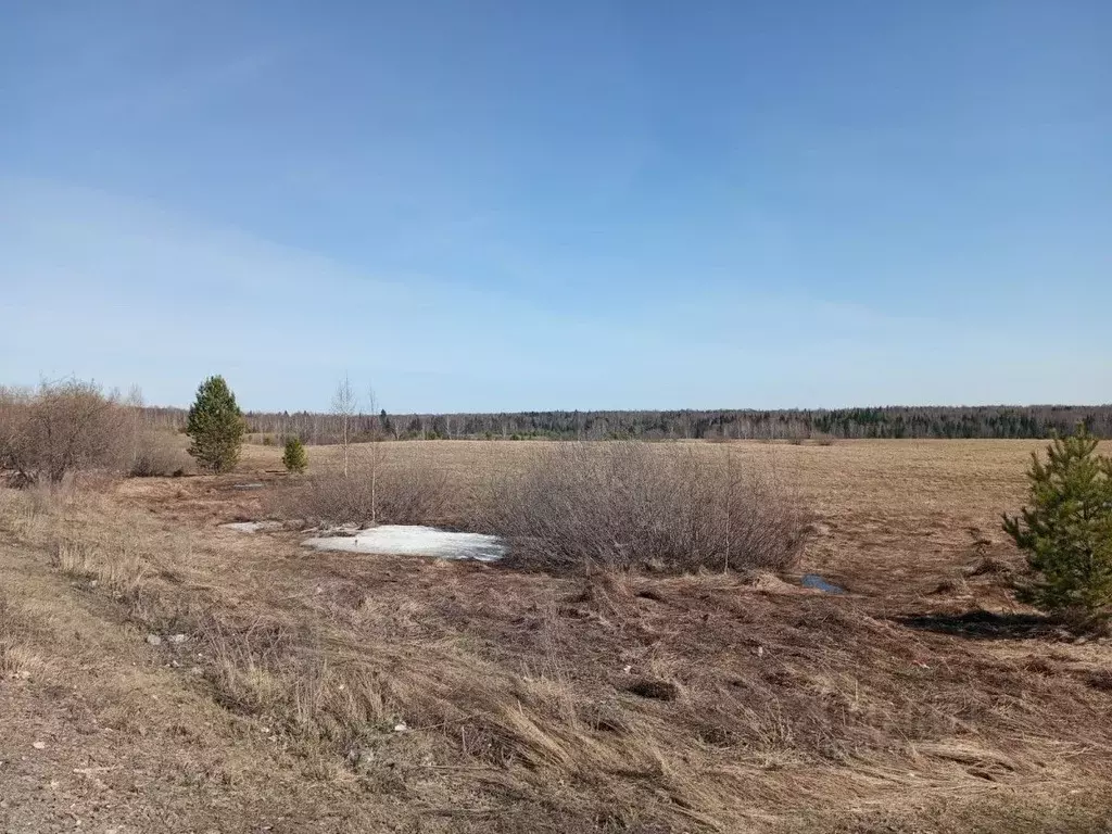 Участок в Томская область, Томский район, д. Воронино Центральная ул., ... - Фото 0
