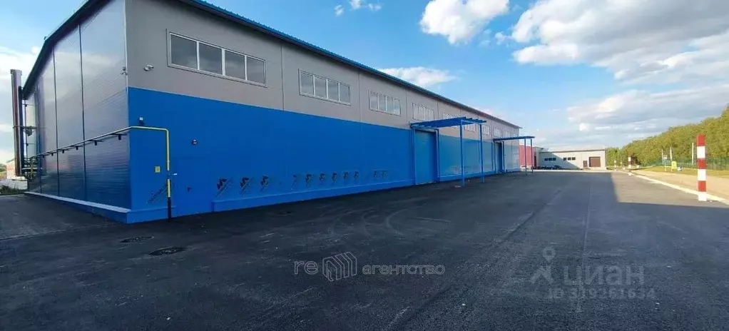 Склад в Татарстан, Зеленодольский район, Осиновское с/пос, пос. ... - Фото 2