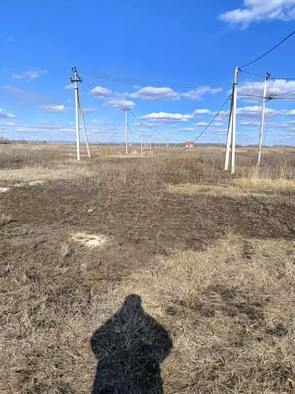 Участок в Тамбовская область, Тамбовский муниципальный округ, д. ... - Фото 2