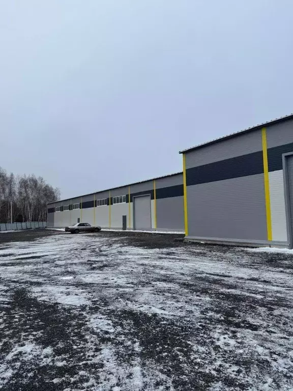 Склад в Московская область, Домодедово городской округ, д. Шахово 11 ... - Фото 2