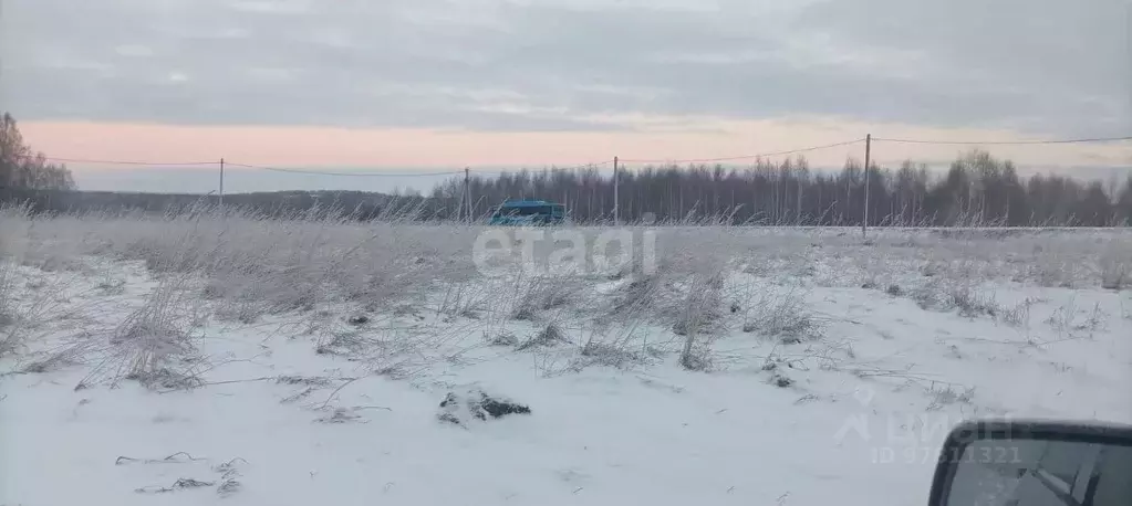 Участок в Кемеровская область, Прокопьевский район, пос. Свободный  ... - Фото 0