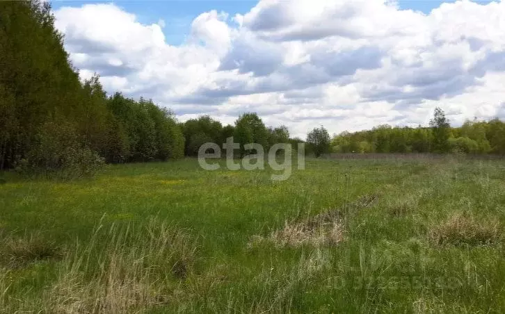 Участок в Владимирская область, Петушинский муниципальный округ, д. ... - Фото 2