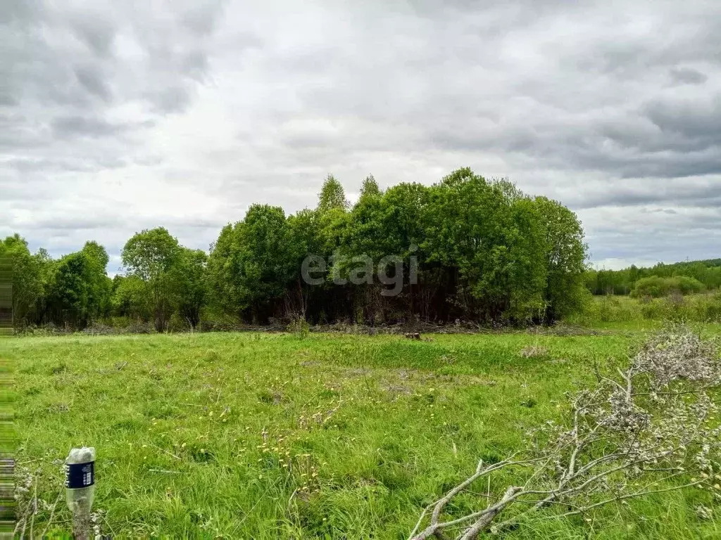 Участок в Смоленская область, Смоленский муниципальный округ, д. ... - Фото 1