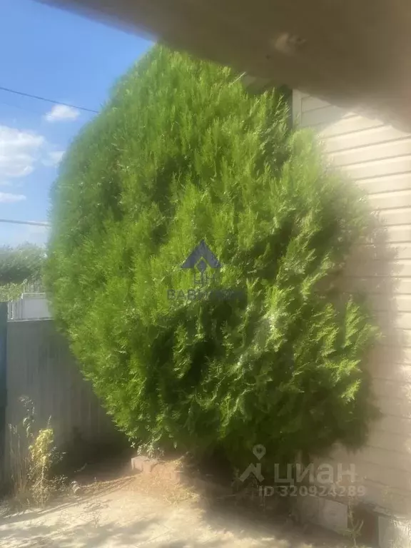 Дом в Ростовская область, Цимлянский район, Лозновское с/пос, Лозной ... - Фото 2