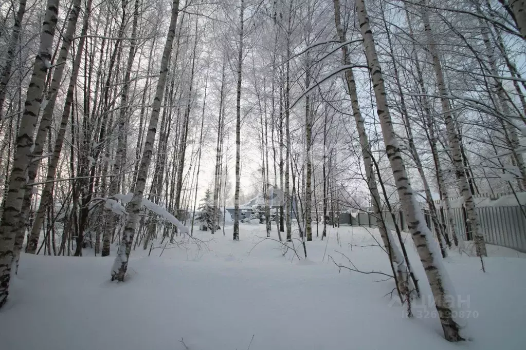Участок в Ярославская область, Переславль-Залесский муниципальный ... - Фото 1