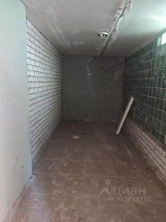 Помещение свободного назначения в Кировская область, Кирово-Чепецк ... - Фото 1