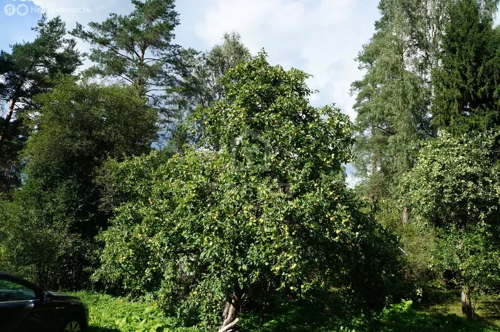 Участок в городской посёлок Вырица, Казанская улица, 8 (23.12 м) - Фото 2