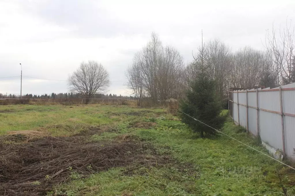 Участок в Москва д. Белоусово, 13Г (11.0 сот.) - Фото 1