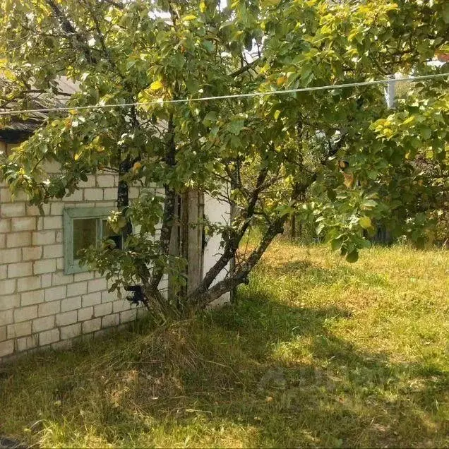 Участок в Нижегородская область, Нижний Новгород Фантазия-1 СНТ,  (6.0 ... - Фото 2