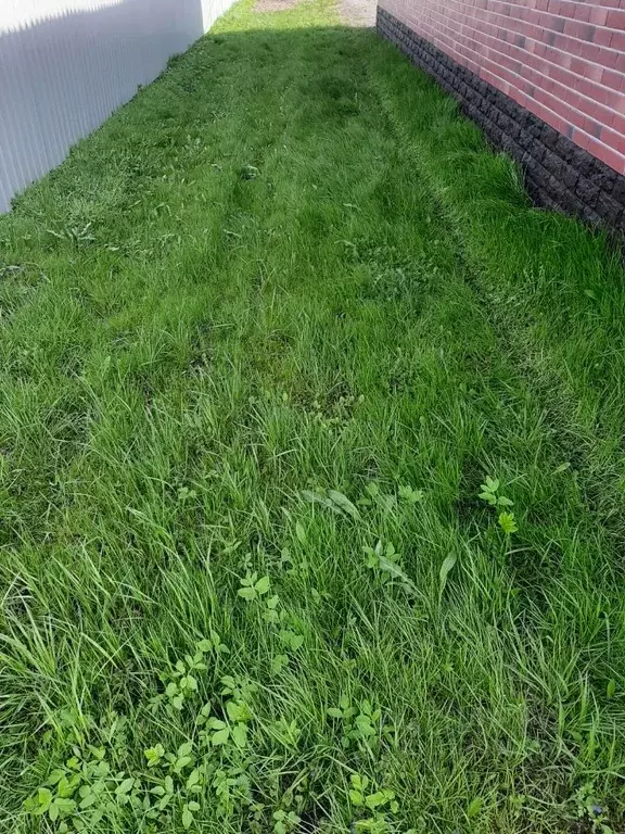 Дом в Московская область, Богородский городской округ, имени ... - Фото 1
