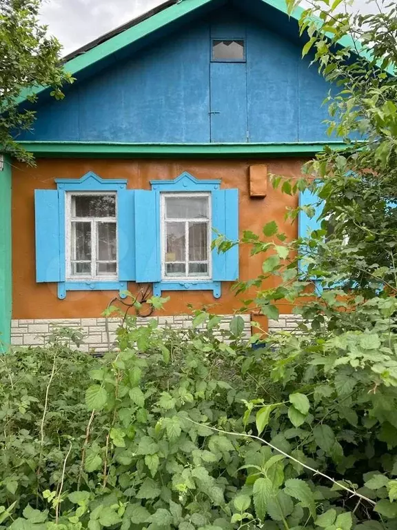 Купить Дачу В Куйбышеве Новосибирской Области