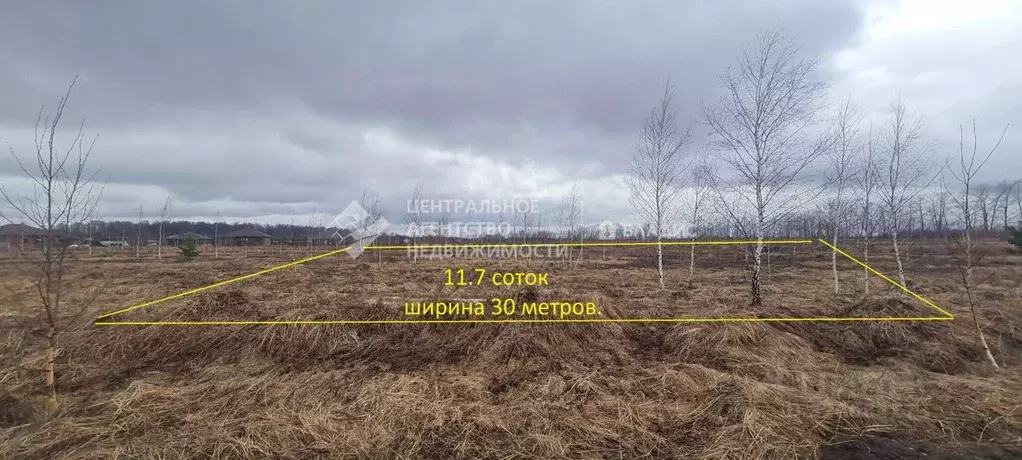 Участок в Рязанская область, Рязанский муниципальный округ, д. ... - Фото 1