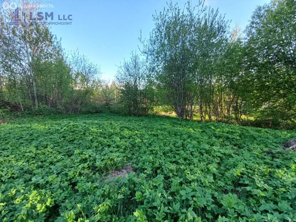 Участок в Выборгский район, Приморское городское поселение, посёлок ... - Фото 1