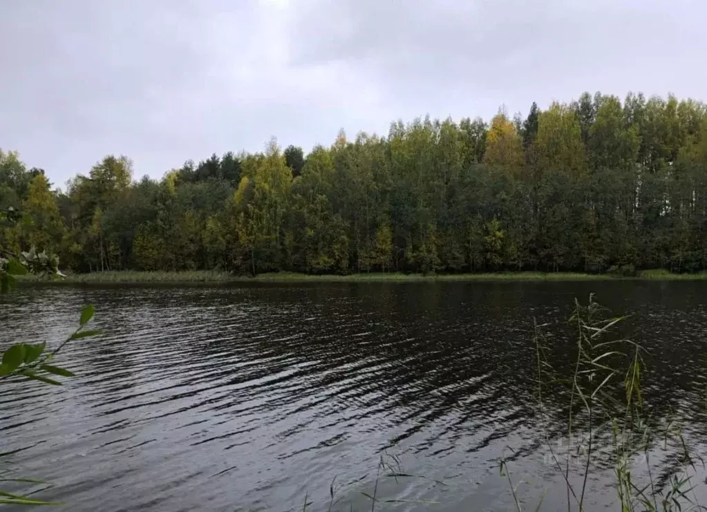 Участок в Карелия, Кондопожский район, Гирвасское с/пос  (10.0 сот.) - Фото 1