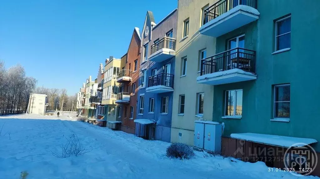 1-к кв. Ленинградская область, Ломоносовский район, д. Низино ... - Фото 1