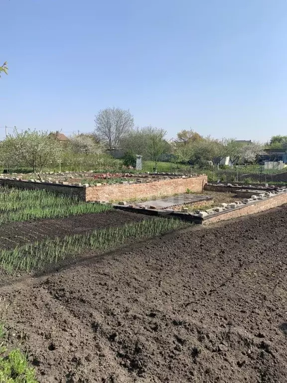 Участок в Белгородская область, Белгородский район, Никольское с/пос, ... - Фото 0