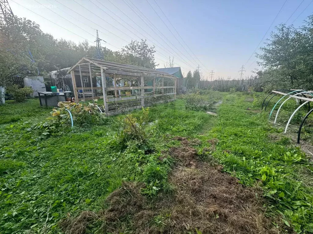 Дом в Богородский городской округ, СНТ Берёзка (Клюшниково) (40 м) - Фото 1