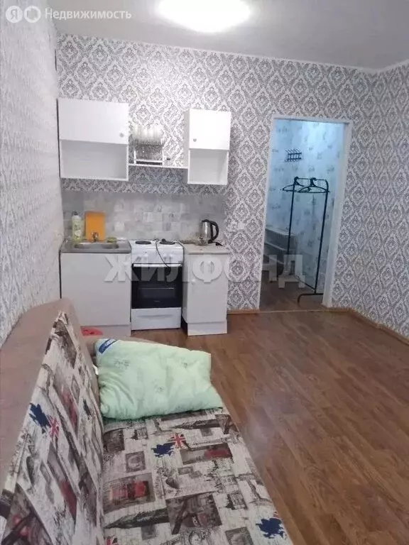 Квартира-студия: Новосибирск, улица Надежды, 10 (24.1 м) - Фото 1