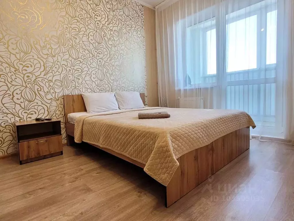 Студия Алтайский край, Барнаул просп. Строителей, 18 (24.0 м) - Фото 1