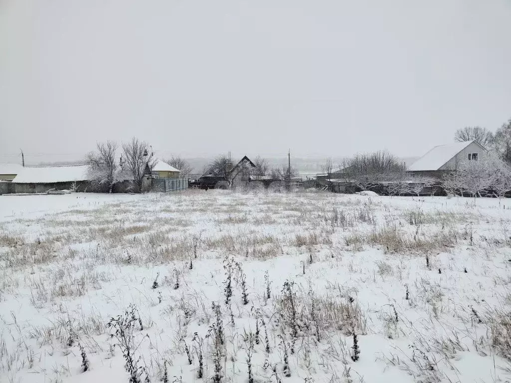 Участок в Белгородская область, Бирюч Красногвардейский район, ... - Фото 1