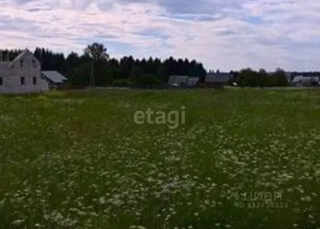 Участок в Пермский край, д. Заозерье (Усть-Качкинское сельское ... - Фото 1