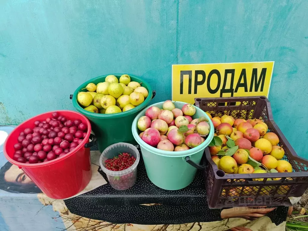 Дом в Челябинская область, Аргаяшский район, Акбашевское с/пос, ... - Фото 1