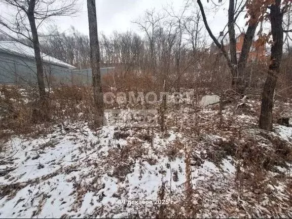 Участок в Приморский край, Артем ул. 1-я Рабочая (9.0 сот.) - Фото 1
