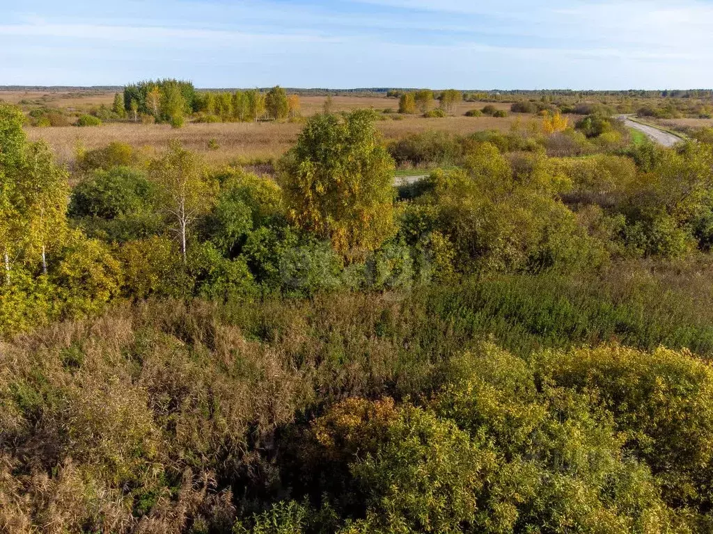 Участок в Тюменская область, Тюмень  (6.0 сот.) - Фото 1