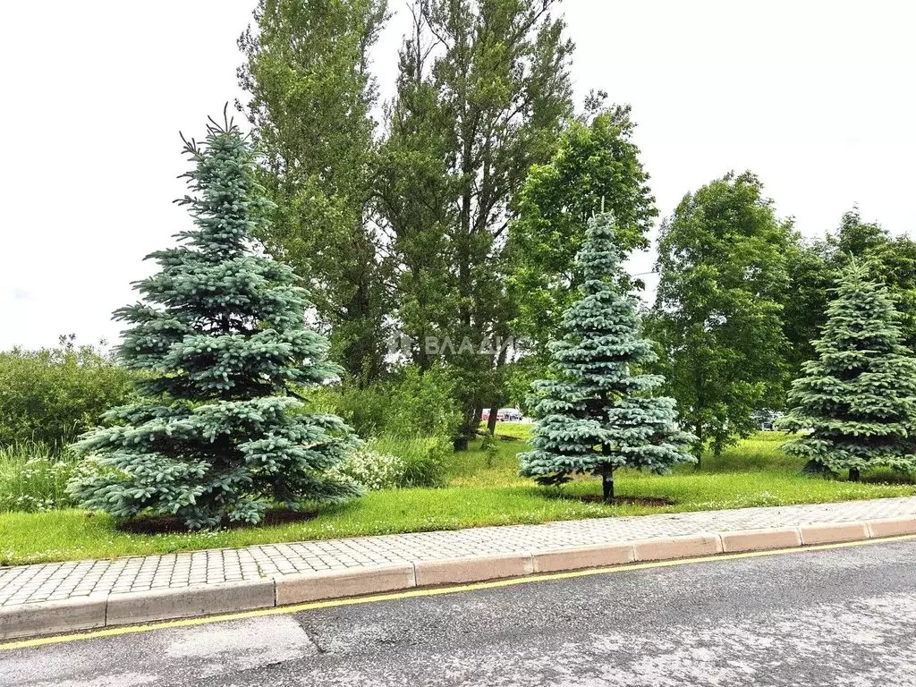 Участок в Санкт-Петербург, Санкт-Петербург, Петергоф Петергофские Дачи ... - Фото 0