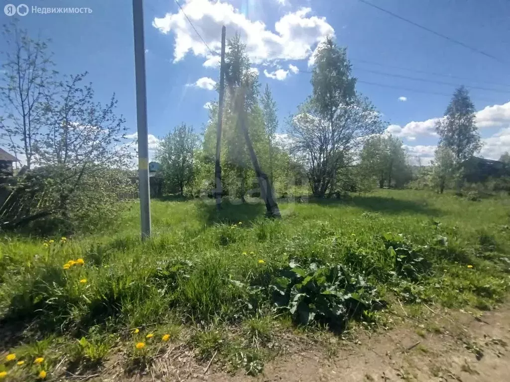 Участок в Костромская область, городской округ Шарья, деревня ... - Фото 0