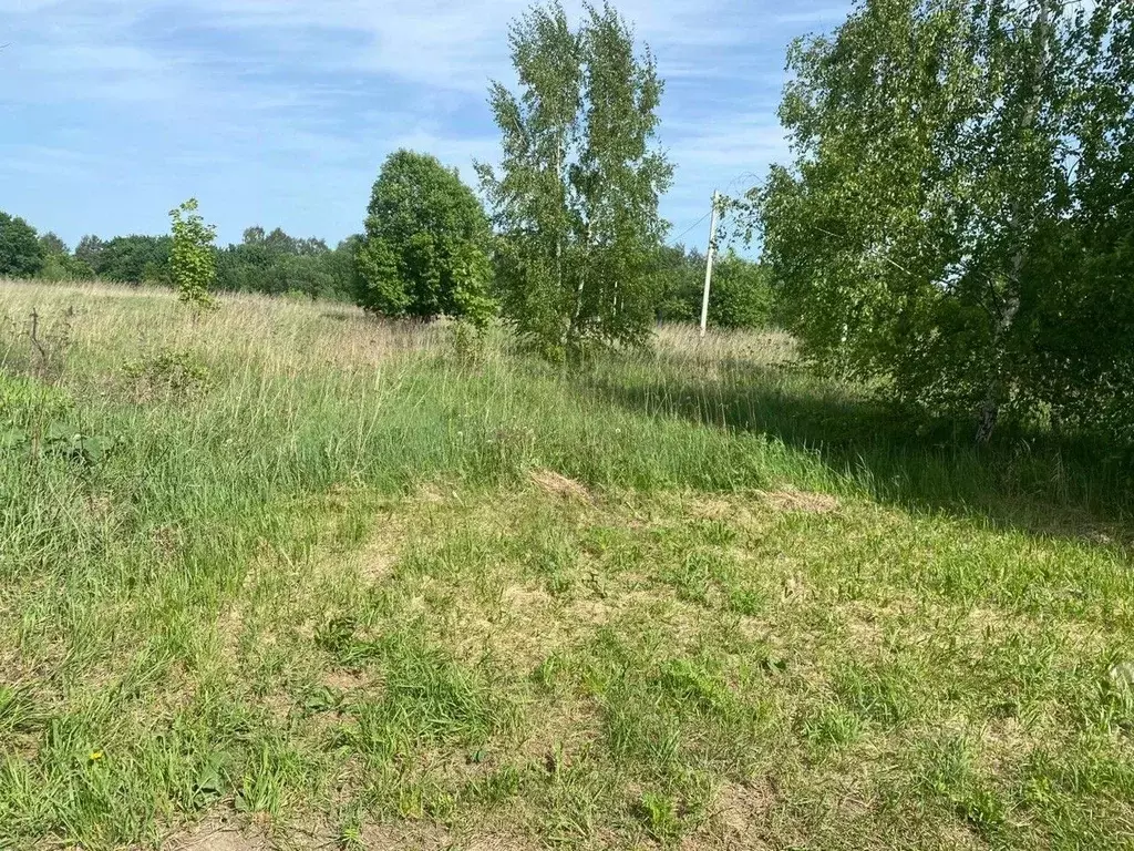 Участок в Московская область, Орехово-Зуевский городской округ, д. ... - Фото 1
