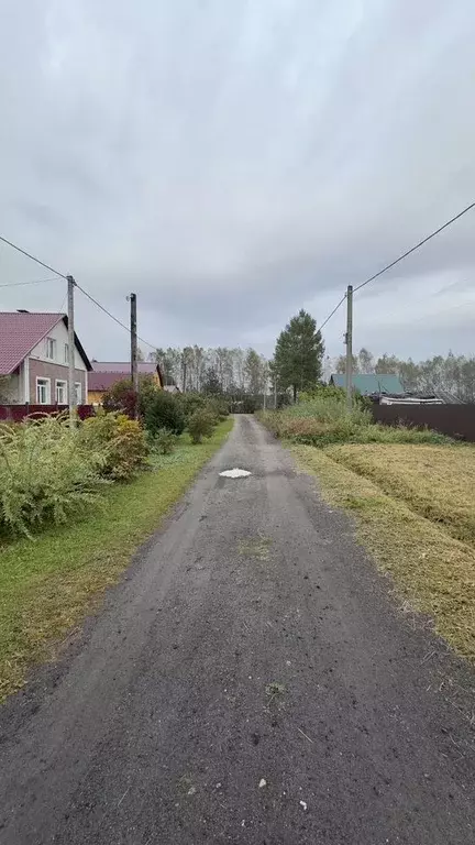 Участок в Московская область, Дмитровский муниципальный округ, д. ... - Фото 1