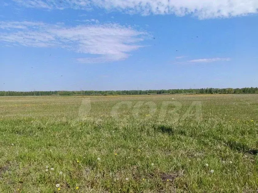 Участок в Тюменская область, Тюменский район, д. Елань  (8.01 сот.) - Фото 0