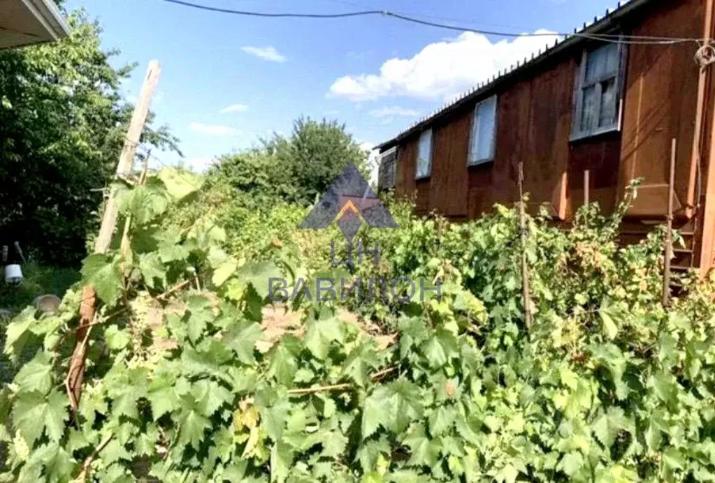 Дом в Ростовская область, Волгодонской район, Романовская ст-ца ... - Фото 2