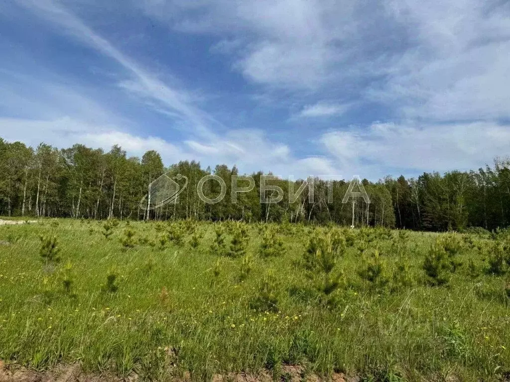 Участок в Тюменская область, Тюменский муниципальный округ, д. ... - Фото 2