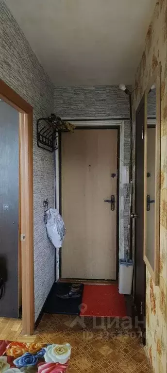 1-к кв. Брянская область, Брянск ул. Чернышевского, 62 (27.0 м) - Фото 2