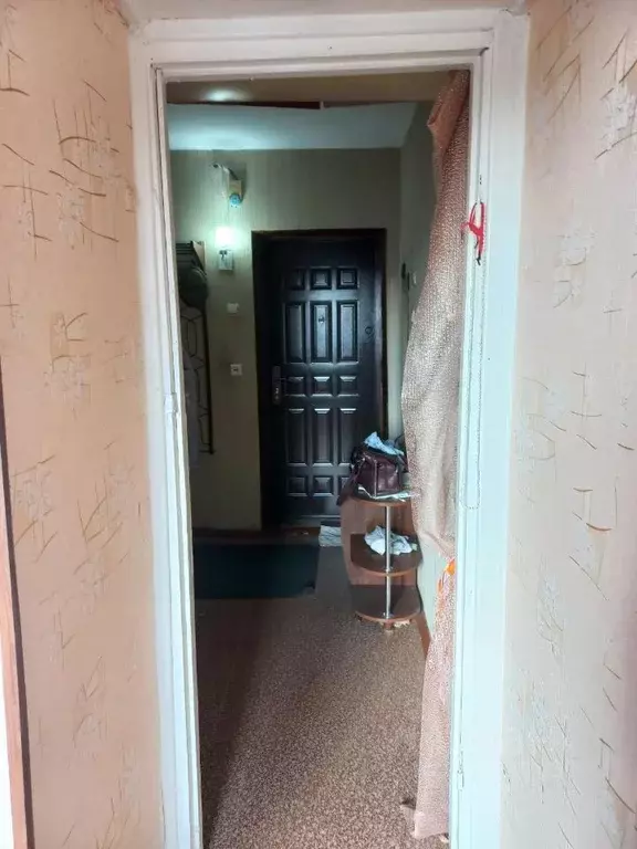 1-к кв. Иркутская область, Шелехов 4-й мкр, 91 (30.0 м) - Фото 1