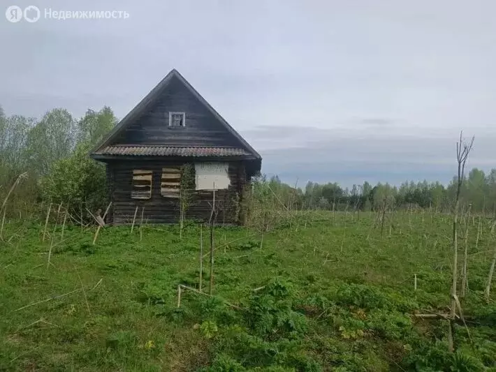 Участок в Новгородская область, Маловишерский муниципальный округ, ... - Фото 2
