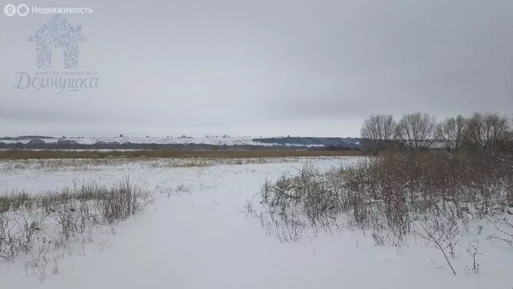 Участок в Воронеж, Лесная улица (13 м) - Фото 0