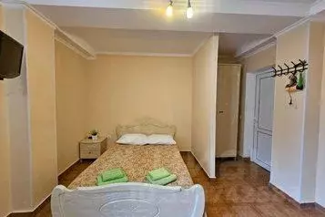 1-к кв. Краснодарский край, Сочи ул. Ленина, 42А (28.0 м) - Фото 0