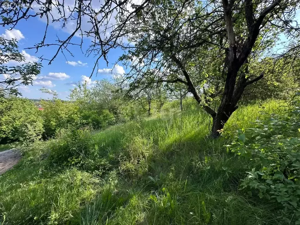 Участок в село Зелёная Поляна, дачный поселок Спартан (4 м) - Фото 0