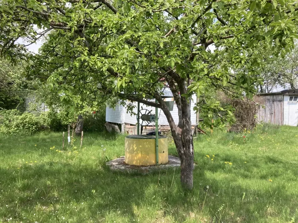 Дом в Калининградская область, Гурьевский муниципальный округ, Авиатор ... - Фото 2