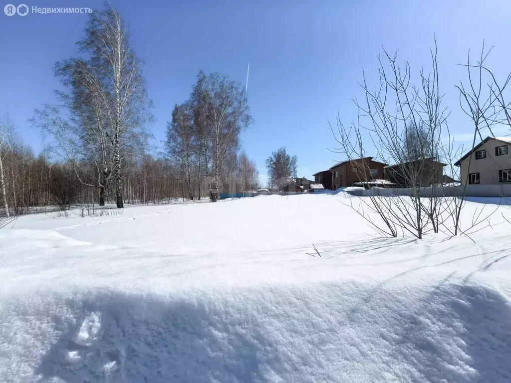 Участок в Новосибирск, улица Заслонова (8 м) - Фото 2