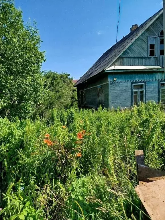 Дом в Ленинградская область, Сланцы пос. Большие Лучки, ул. Сосновая, ... - Фото 1