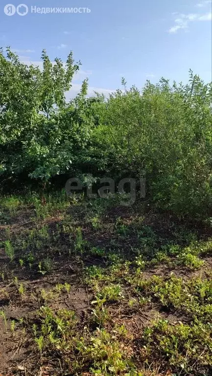 Дом в Южноуральск, ОС Строитель (14.4 м) - Фото 2