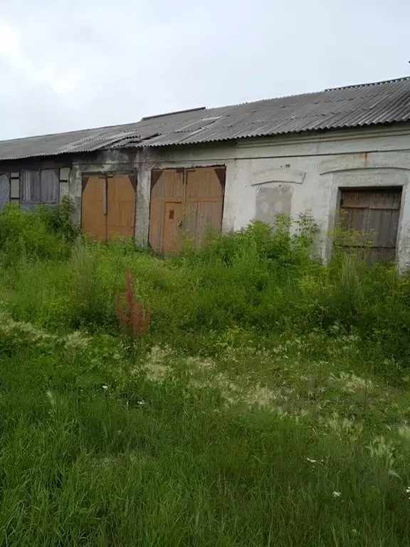 Помещение свободного назначения в Новосибирская область, с. Убинское ... - Фото 0