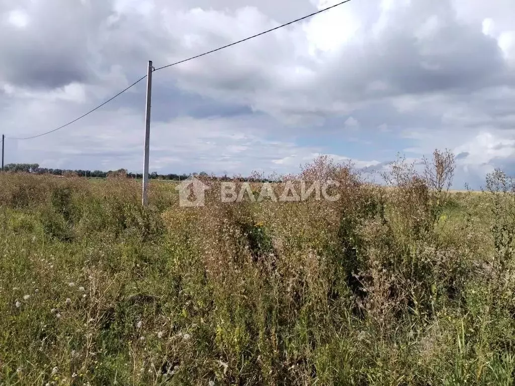 Участок в Владимирская область, Суздальский район, Боголюбовское ... - Фото 0