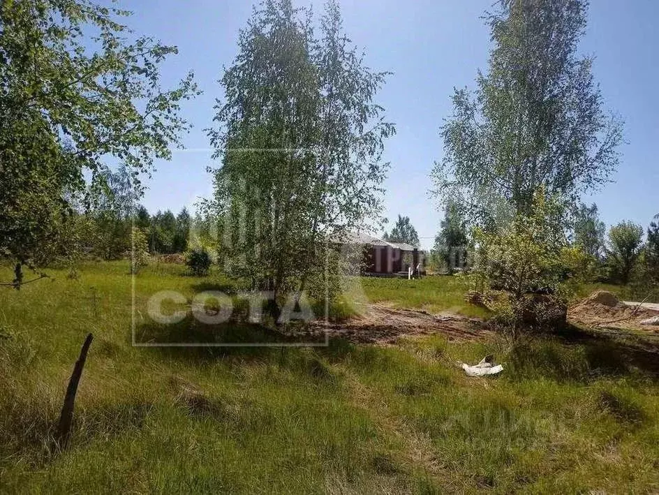 Участок в Воронежская область, с. Новая Усмань ул. Виноградная, 97 ... - Фото 0